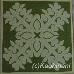 kahili ginger