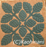 noni