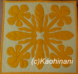 plumeria