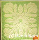 Pua Kenikeni