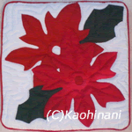 chiristmas poinsetia