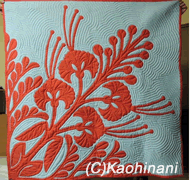 ohaialii