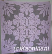 Orchid2