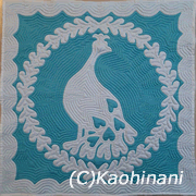 peacock2