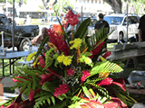 bird of paradise vase
