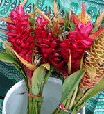 redginger